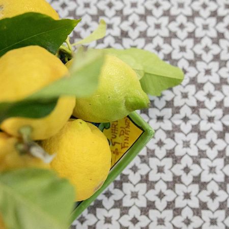 切法卢A 38Passi Dal Mare别墅 外观 照片